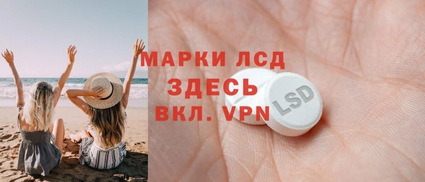 стаф Аркадак