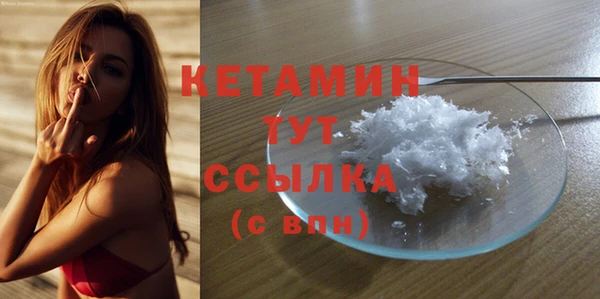 стаф Аркадак
