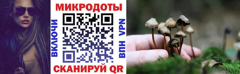 Галлюциногенные грибы мицелий Удачный