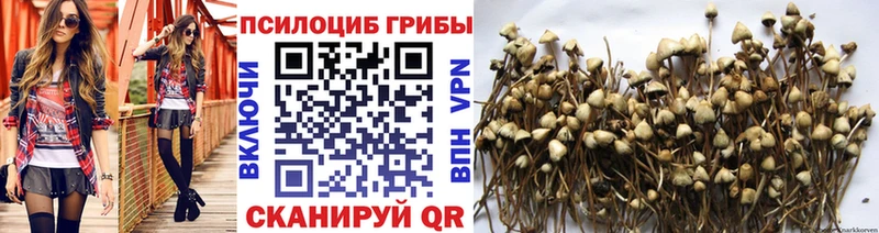 купить наркотик  Удачный  Галлюциногенные грибы прущие грибы 